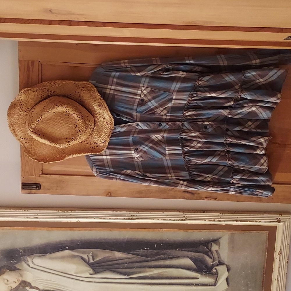 Denim & Supply Ralph Lauren Plaid Ruffled Buttonup Shirt Western Cowgirl Lrg